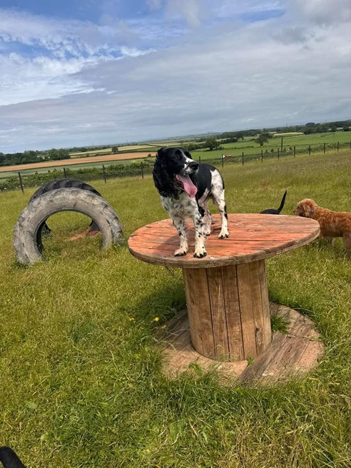 Little-Clayhill-Farm.jpg