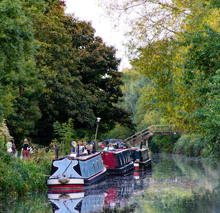 canal-1-(1).jpg