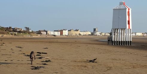 Get-wet-luna-running-on-the-beach-with-lighthouse.jpg