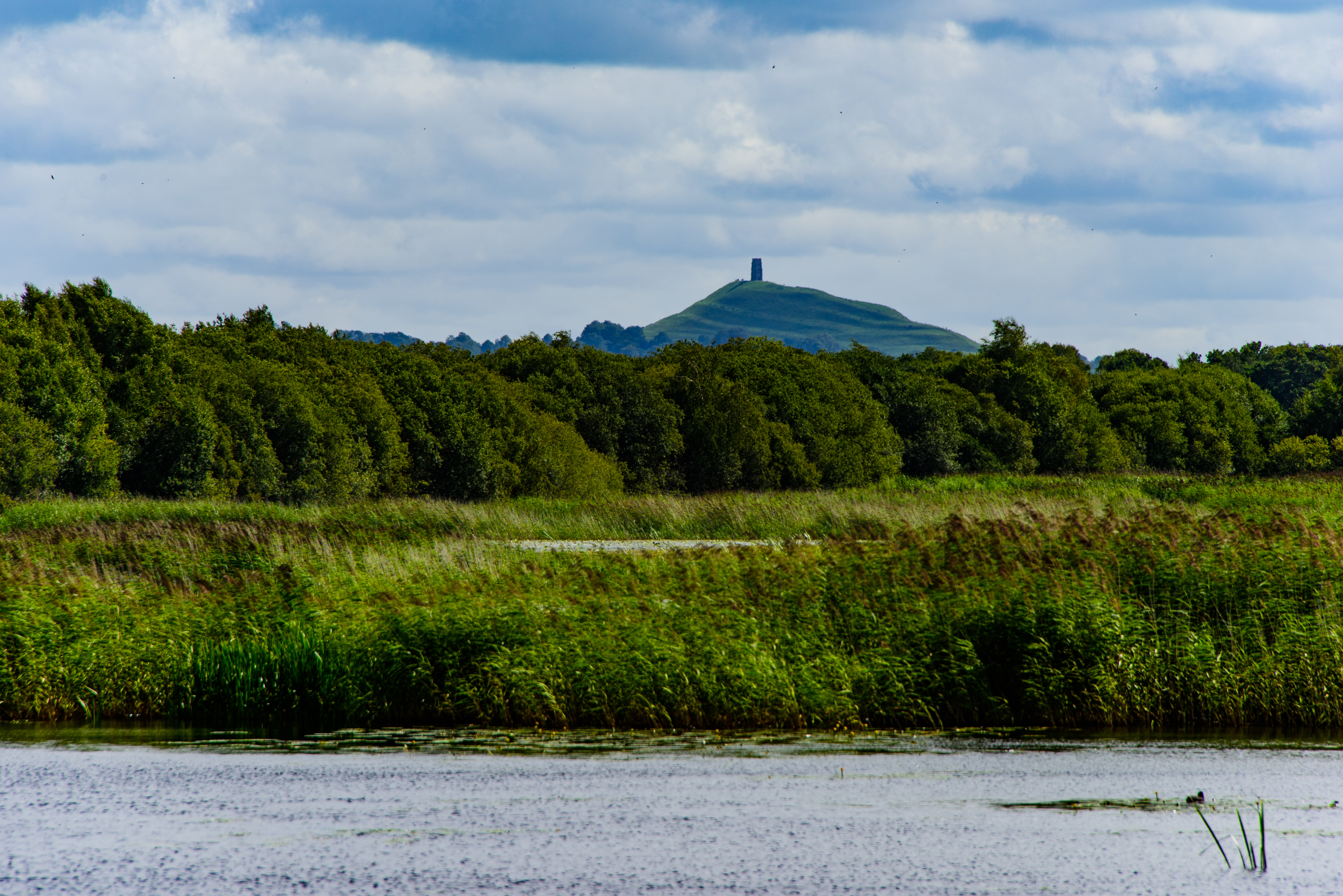 Nature Reserves in Somerset